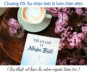 Sự thật về bạn là nằm ngoài tâm trí.