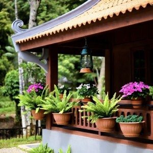 Tự do cái đang biết