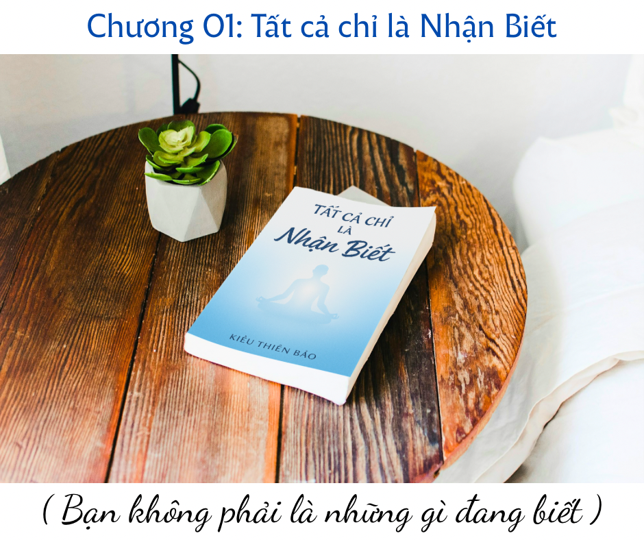 Bạn không phải những gì bạn đang biết