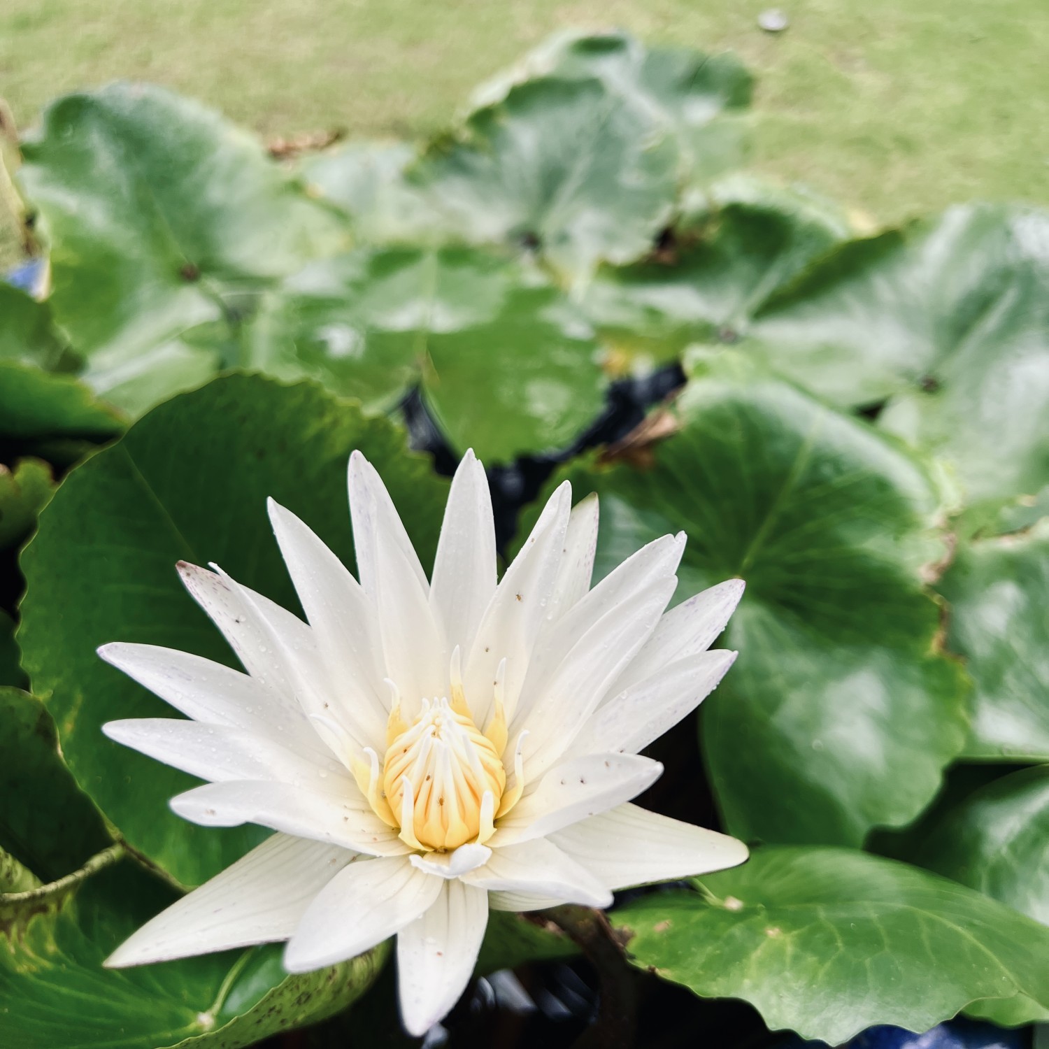 Tất Cả Chỉ Là Nhận Biết